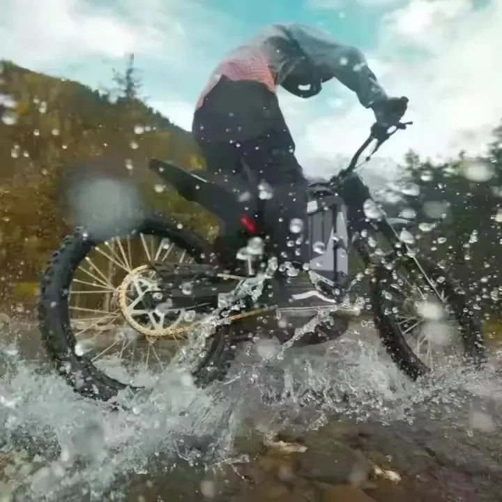Latest Electric Bike Powerful 750W Mountain Ebike