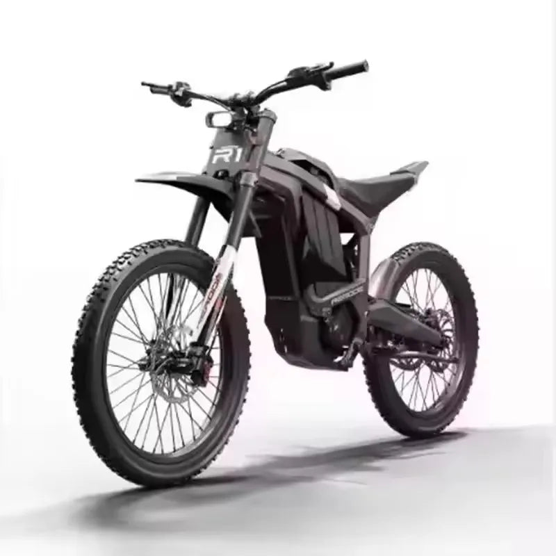 Latest Electric Bike Powerful 750W Mountain Ebike