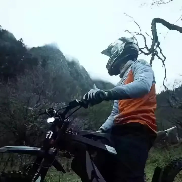 Latest Electric Bike Powerful 750W Mountain Ebike
