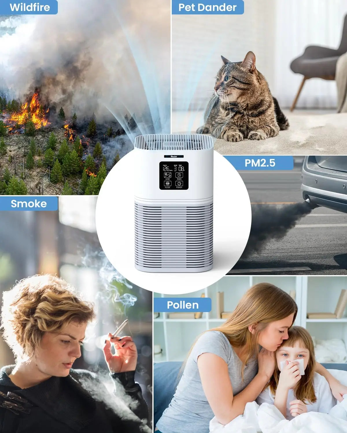 2 in 1 Air Purifier for Home Allergies