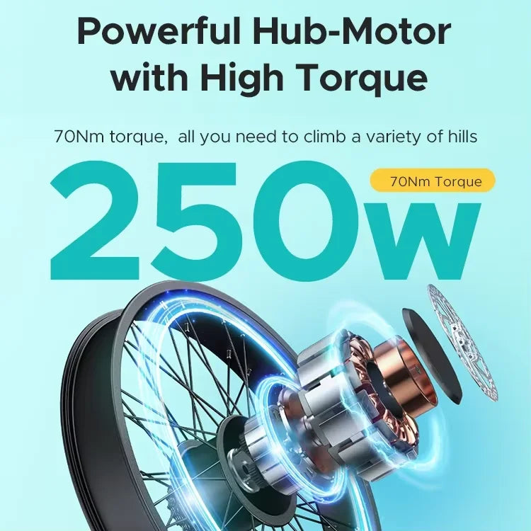 ENGWE E26 ST 250W 48V 16AH All-terrain Off-Road Electric Bicycle 26-inch Fat Tire Hydraulic Brake 32KM/H Resistance Bicycle