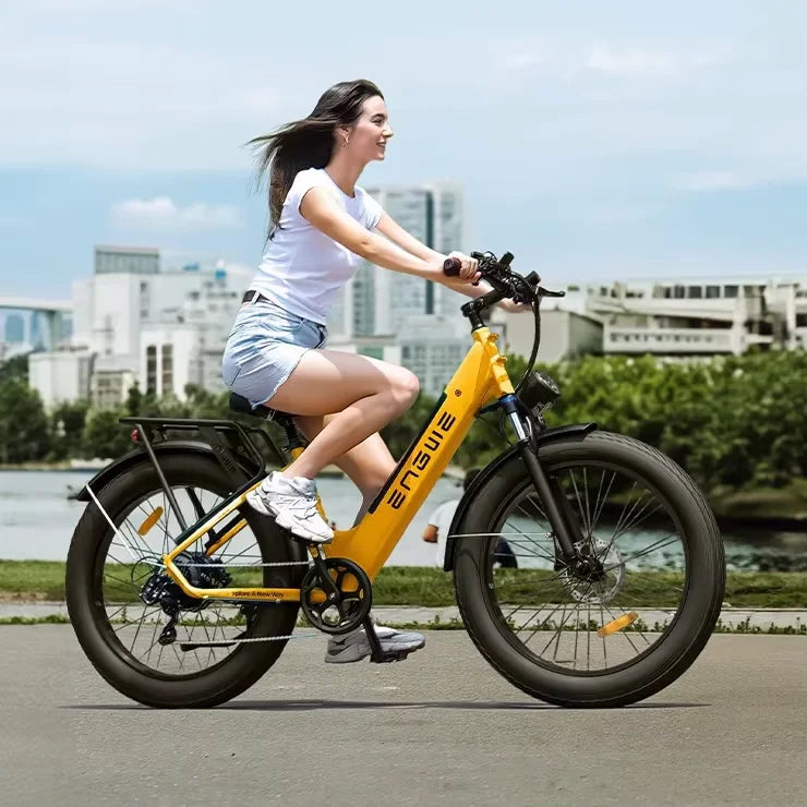 ENGWE E26 ST 250W 48V 16AH All-terrain Off-Road Electric Bicycle 26-inch Fat Tire Hydraulic Brake 32KM/H Resistance Bicycle