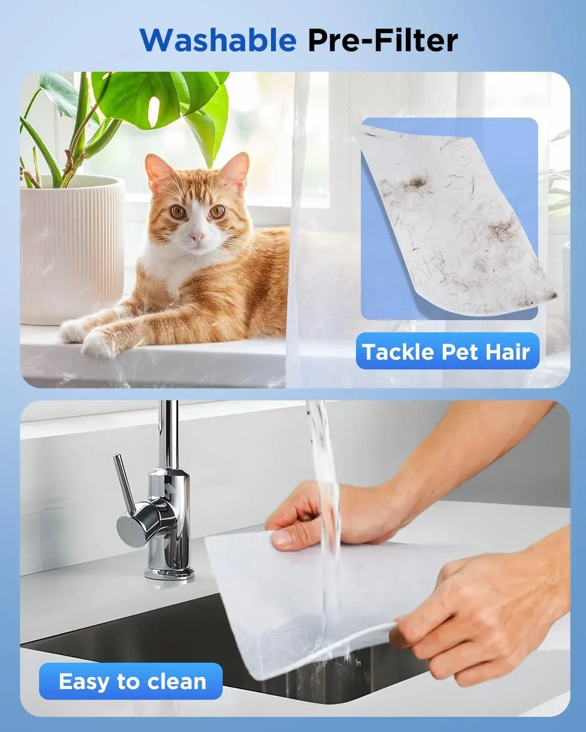Air Purifiers for Home