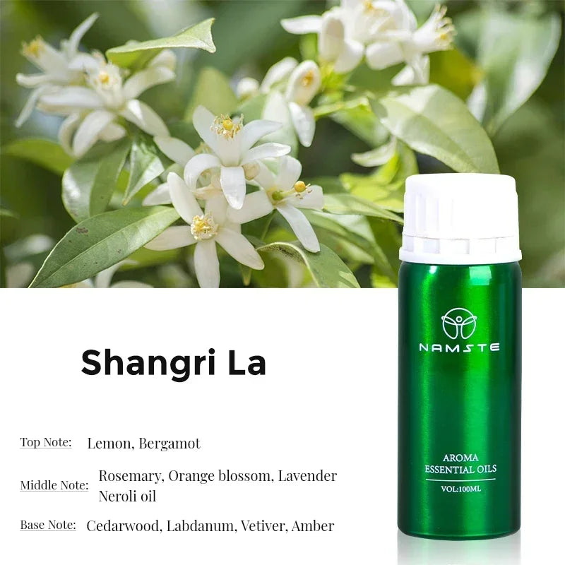 Perfume Essential Oils 100ML Aroma Diffuser