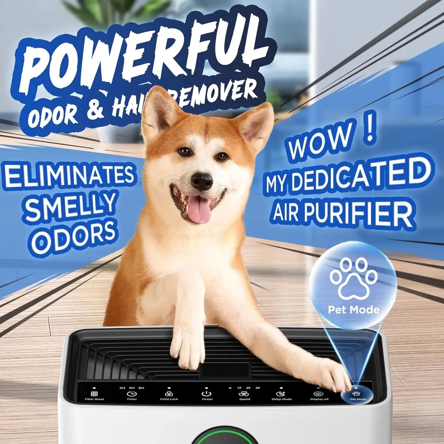 Air Purifiers for Home