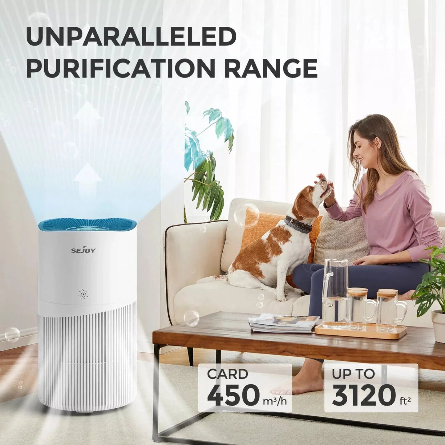 SEJOY HEPA Air Purifier Air Fresh 3 Speed