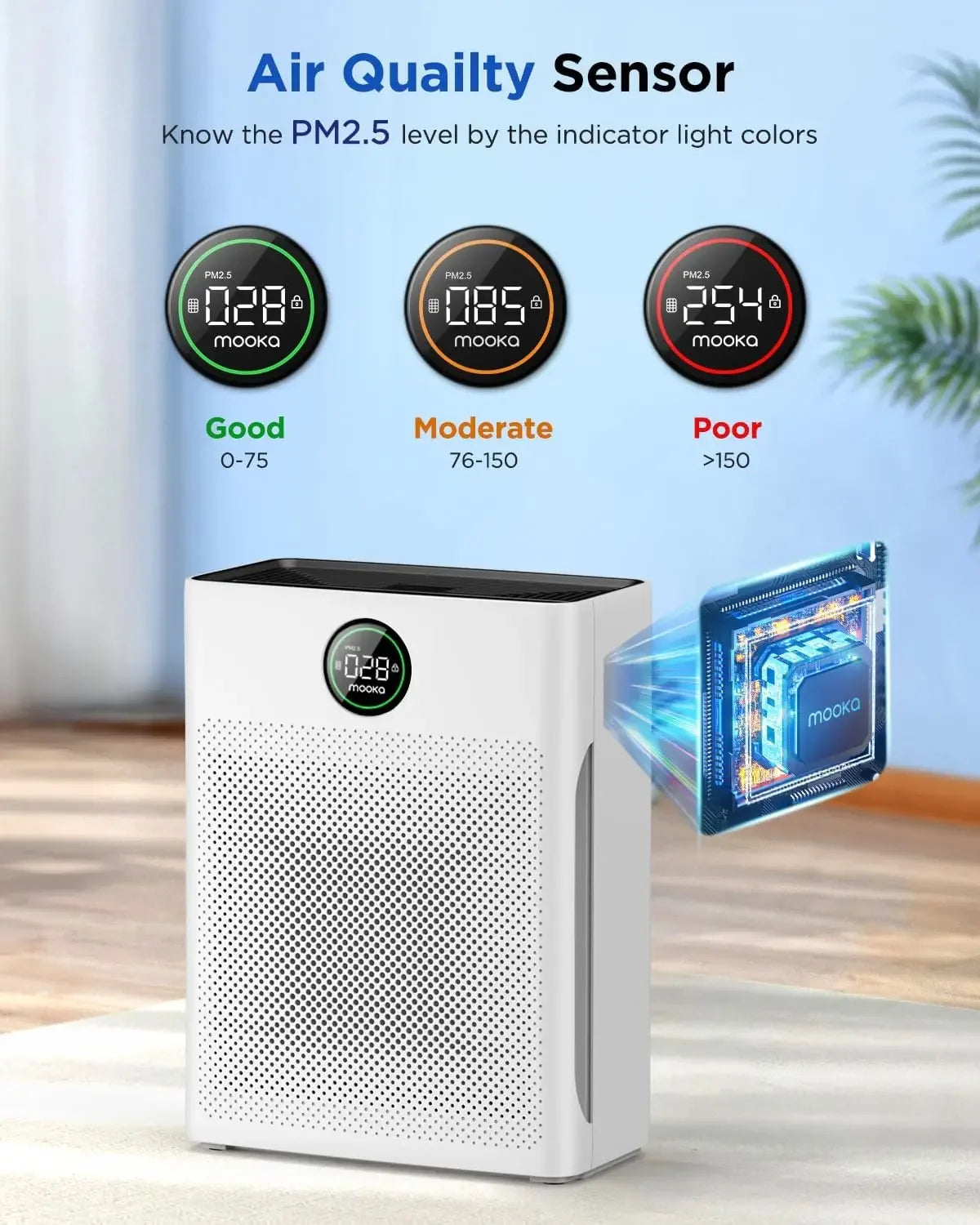 Air Purifiers for Home