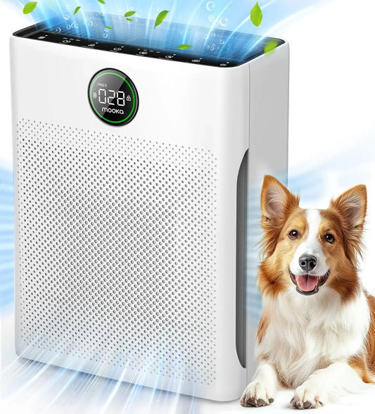Air Purifiers for Home